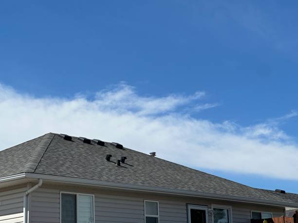 Best Roof Insulation Installation  in Coshocton, OH